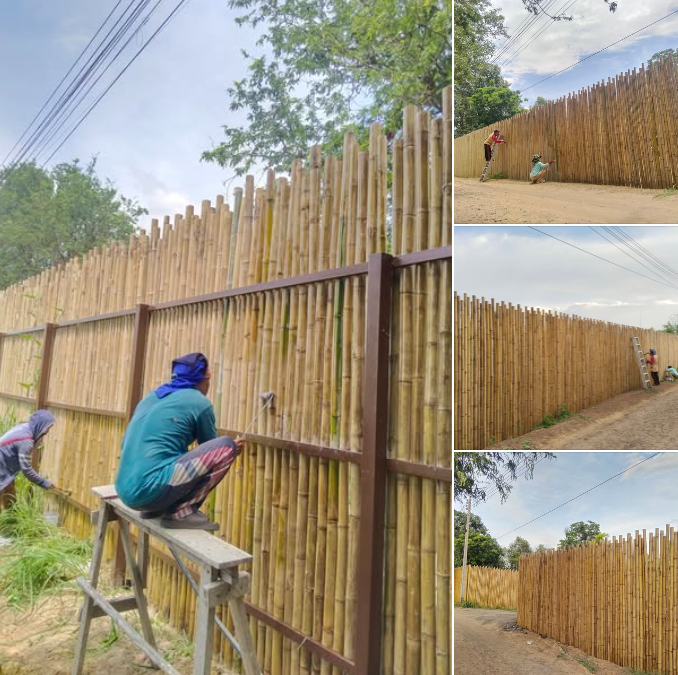 Painting bamboo fence