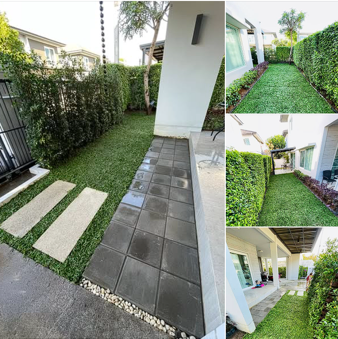 ส่งมอบงานปูหญ้าและติดตั้งบล็อกทางเดิน (Paver Block) เน้นความประณีต แข็งแรง และไม่ทรุดตัวง่าย (Delivering premium grass turf and Paver Block installation—focusing on durability, precision, and long-lasting quality.)